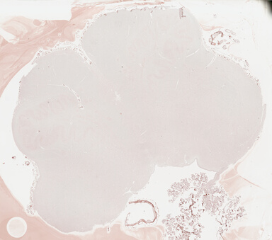 ['deident_e20329e9-28af-4522-9d1b-242582136cf0_69b03c9c.jpg']