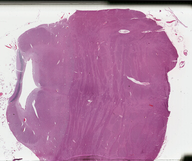 ['deident_538f061b-aa9b-4e3f-902b-0467932a7773_69b04d9d.jpg']