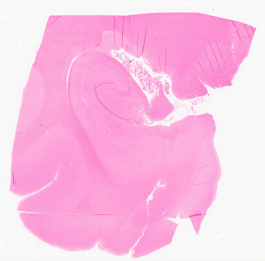 ['deident_e3803cf6-c07c-46c3-9074-7bec60d5de5e_69d966b8.jpg']