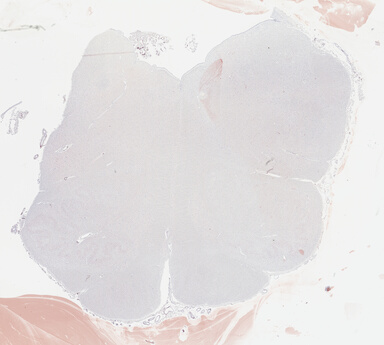 ['deident_eddddf48-bc5e-44e1-983e-850ba49351ff_69b04e90.jpg']