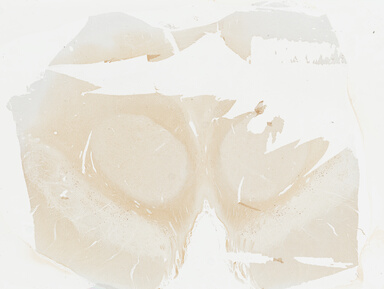 ['deident_72d6cd50-c107-4696-8acc-9eb88ec37c82_695fca90.jpg']