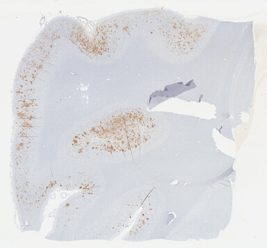 ['deident_4828d763-712d-473b-9c6f-6788c07a86dc_69b041f3.jpg']