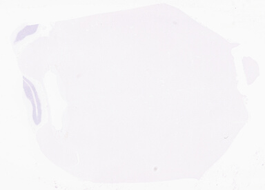 ['deident_ec17c3e7-8376-495f-84d6-b3088515eb2b_69b04226.jpg']