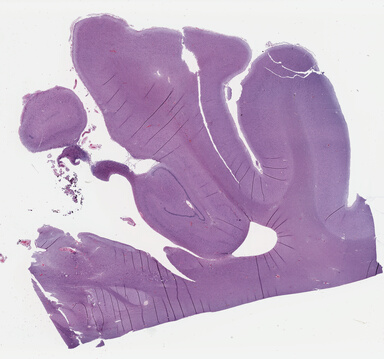 ['deident_97f8e035-6516-4d06-8c04-17f8bd8f0628_69b04206.jpg']