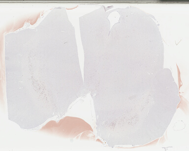 ['deident_52e0a10f-d68b-4cb8-be96-7380c94e4f85_69b041f5.jpg']