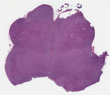 ['deident_9c910ea3-b225-4d5e-87ef-834d5b00aba0_69b04207.jpg']