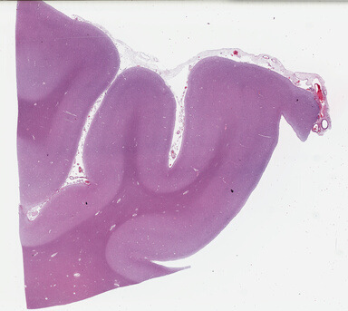 ['deident_0741ac02-a238-4963-8bc4-cae19405fd2a_69b03ddb.jpg']