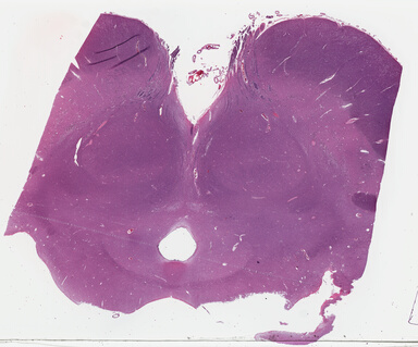 ['deident_0645ef01-e60d-4210-89df-429e7dff6841_69b03dd9.jpg']
