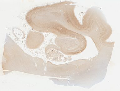 ['deident_082d083d-5a01-4ad8-9389-475e0d5a7374_69b03ddc.jpg']