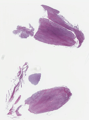 ['deident_1a378ac5-faff-40b7-aef1-c339b0a98162_69b03de6.jpg']