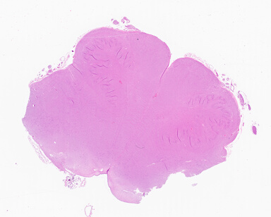 ['deident_8fb1257f-541b-4317-b013-889e519b7735_69b05641.jpg']