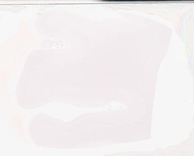 ['deident_12deb707-1c77-4b3b-be08-edcc2f71be27_69b05618.jpg']