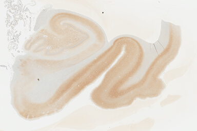 ['deident_c4c6586e-a6be-4c01-b7d9-bd034a50ec80_695fcc7a.jpg']