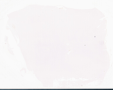 ['deident_5ad81231-5a24-41f2-8251-a37904930f5c_69d941f4.jpg']