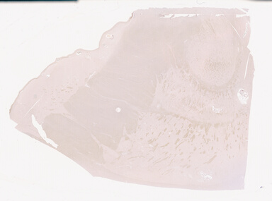 ['deident_398f7cd4-c2da-4b9e-8e66-46ea5c88c4f6_69d941e5.jpg']