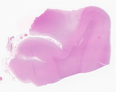 ['deident_46745bad-0b5b-459e-a081-30f4c0953f5f_69d941e8.jpg']