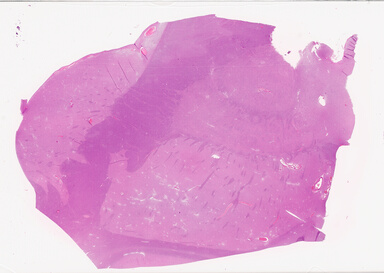 ['deident_b891d8d0-7e0d-4c4d-9fa7-e76de7a103ab_69d940b7.jpg']