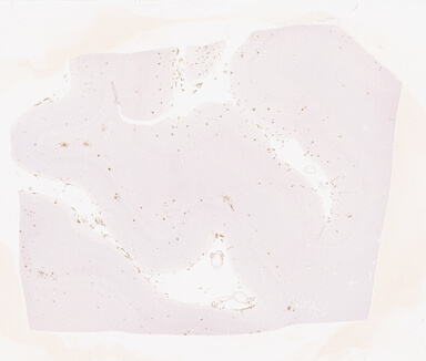 ['deident_0b776ac5-72ce-4241-9130-07351eea5c32_69d9407a.jpg']