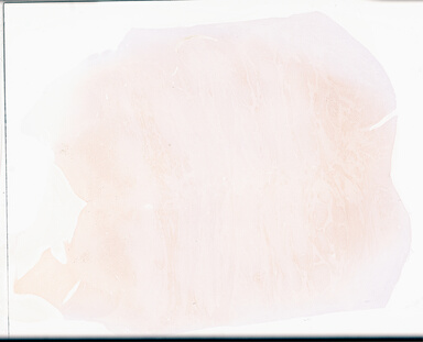 ['deident_bb4513a1-e9a9-4da0-a943-3479027d4c3f_69d940bc.jpg']