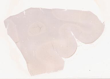 ['deident_ca58d374-5a26-464f-a911-fa0980d2c6f8_69d940c8.jpg']
