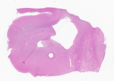 ['deident_ec993ab3-9ff5-4fd0-8357-ecef48bdd82e_69d940d2.jpg']