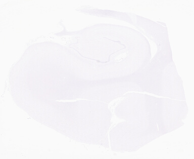 ['deident_f3576c77-c051-4fa1-b09c-c091249ed0e5_69d94dd1.jpg']