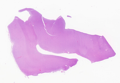 ['deident_b0cffd71-be5f-450a-aead-759544949026_69d94db9.jpg']