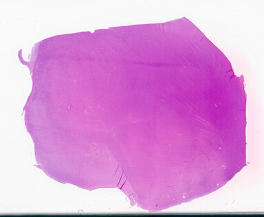 ['deident_8808a2da-10f4-4e65-82c3-93e139213952_69d94dab.jpg']