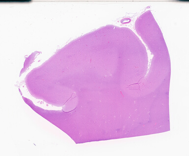 ['deident_d99c856c-1863-4bb7-b488-5b5d88909073_69d94dc6.jpg']