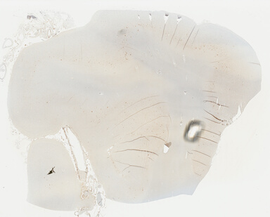 ['deident_dbaea510-58d2-4e4a-a90b-0bed32127520_69b0487d.jpg']