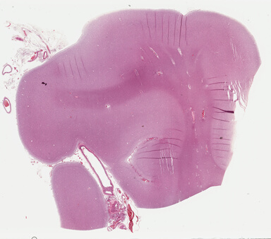 ['deident_7954260a-eada-476f-bc6b-cc856f3105aa_69b0486c.jpg']