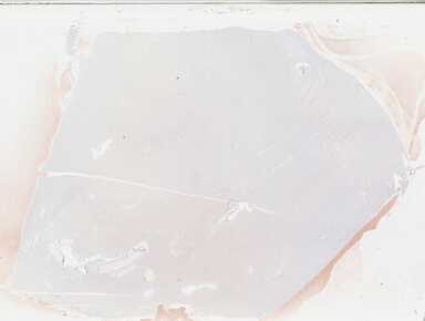 ['deident_0e6002eb-6aa4-4eca-93b6-89144d1a41f3_69b0484f.jpg']