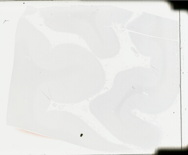 ['deident_87804818-6f52-45a4-834c-c5e615b767ee_69b0486d.jpg']