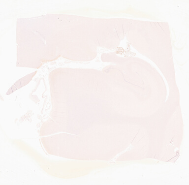 ['deident_5be8461c-84e9-47ab-b251-d9002c20f356_69d9680b.jpg']
