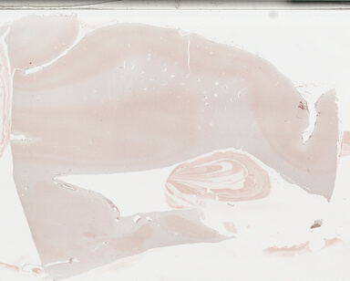 ['deident_3620aebb-db80-4f42-ad6f-9a0aa17e4efb_69b03d2c.jpg']