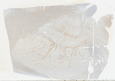 ['deident_e599f517-81b3-4b2c-9e80-c5c8f92d7166_69b03d7a.jpg']