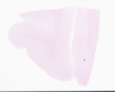 ['deident_e69d692e-0c97-4a90-8fb3-c3b3ff8fabbd_69b046e1.jpg']