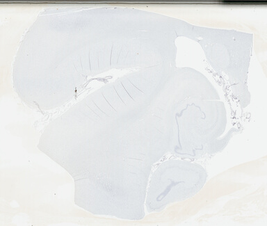 ['deident_60e8c2b5-284b-496c-acfa-1181a92f4c07_69b046a7.jpg']