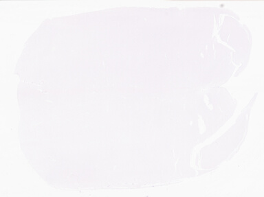 ['deident_bfc32e7a-d47c-4d4f-a6da-701b87eab1d1_69b046d2.jpg']