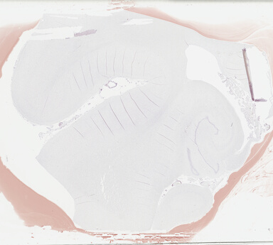 ['deident_e5c83161-6888-4ddc-9033-2980e3f6f44a_69b046de.jpg']