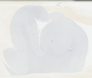 ['deident_3ff2260c-c541-482a-b8bc-210fe77f622b_69b046a0.jpg']