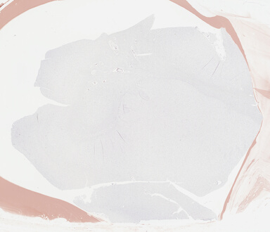['deident_168330d4-2de9-4011-b287-d6a254883bbd_69b0468f.jpg']
