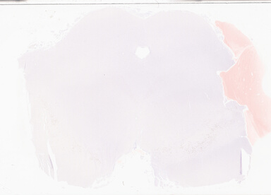 ['deident_3f0fb900-fcaf-41c5-94bb-beba474a3736_69d94945.jpg']