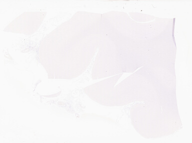 ['deident_2222c66b-11ad-4505-965b-505feb5154bb_69d9492e.jpg']