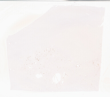 ['deident_227b76d6-cdea-4854-9201-c93b17cb9b54_69b052ce.jpg']