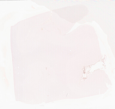 ['deident_90856445-5fdd-4f20-be4f-42b9c03ea329_69b052f8.jpg']