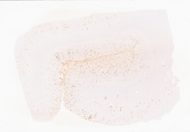 ['deident_e73ae770-9367-4028-8e8b-9749786cc6a0_69b05325.jpg']