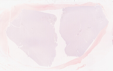 ['deident_918afe22-a834-4742-a7d1-fe601ea96956_69b052f9.jpg']