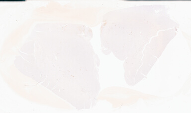 ['deident_cd075da4-299d-4f06-87b5-b97b3013f312_69b0531b.jpg']
