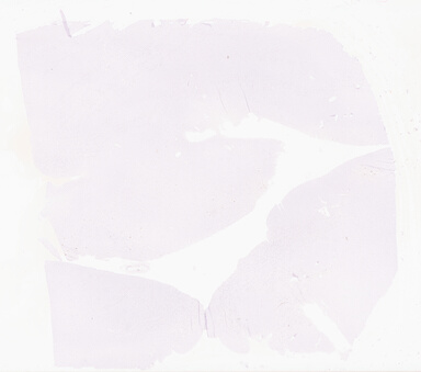 ['deident_3d51d71a-2072-4ade-8219-507faceec4f5_69d9217a.jpg']